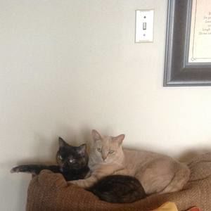 Meet your Posher, Carole